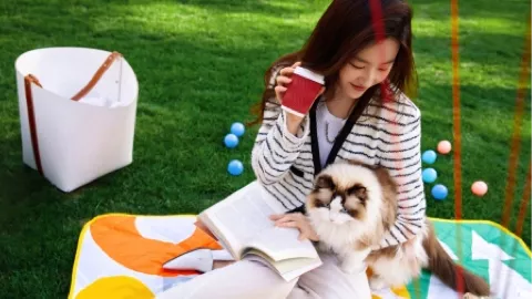 LV首尔餐厅饺子