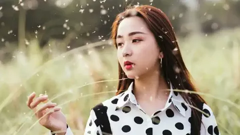 日本米价上涨真正原因